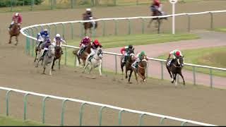 No winner, but horses back safe and sound.