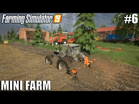 Plowing, cultivating & feeding cows in storm | MINI FARM in Europe|Timelapse #6|Farming Simulator 19