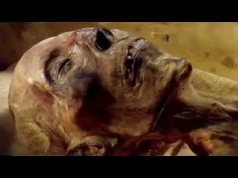 RAMSES II THE GREAT NORTH AFRICAN CAUCASIAN = 100% !