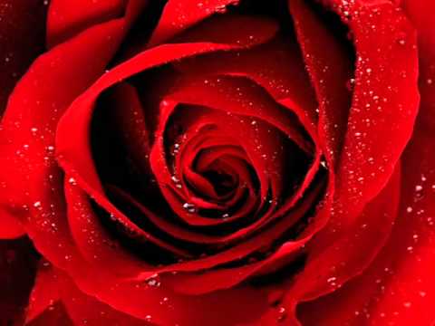 Yamaha Tyros 4 - Played by Simon Schmidt