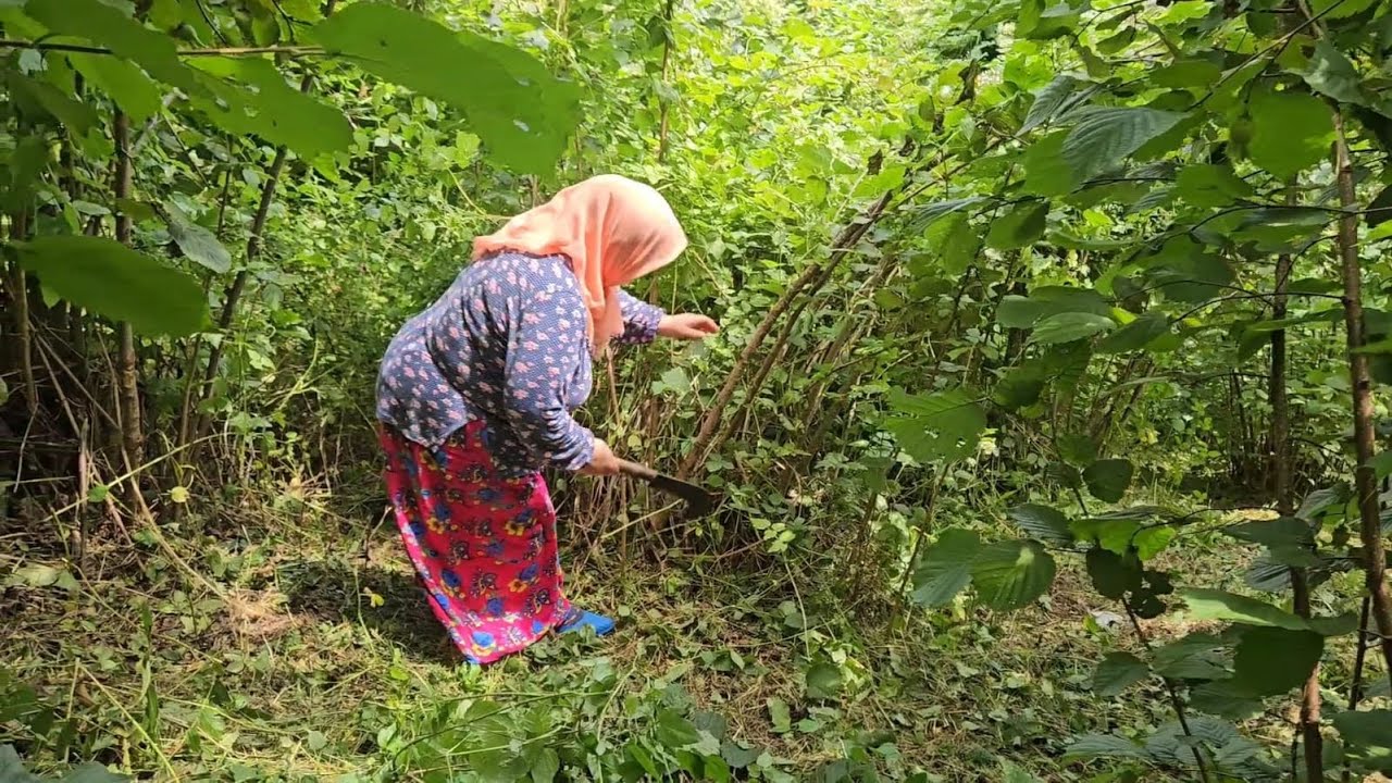 ‼️BUGÜN TIRPAN ZAMANI‼️