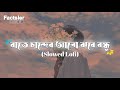 Raath Chander Alo Jhore Bondu - রাতে চান্দের আলো | Slowed Lo-fi | Shireen Jawad | Bangla slo