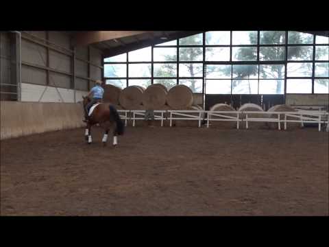 Söhnlein Brilliant von Scolari