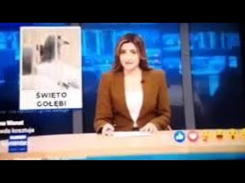 THE MOST EXPENSIVE PIGEON IN THE WORLD COSTS 1.5 MILLION EUTO 👌💪👌