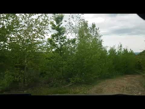 Turnul lui Ovidiu( Turnu Ruieni,Caraș-Severin)