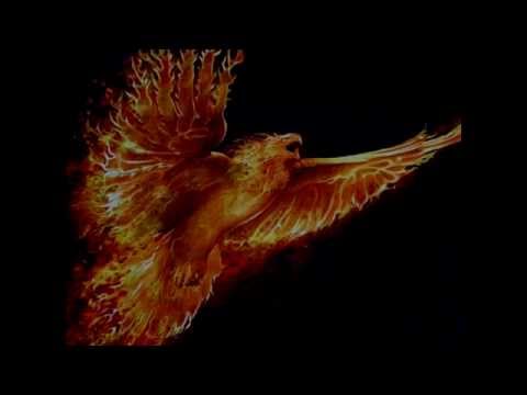 P. Mobil  A főnix éjszakája.  1981.