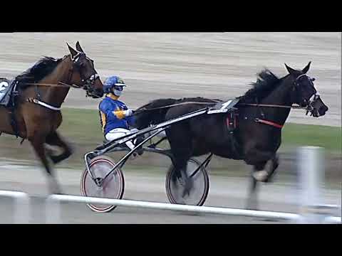 Napoli Trotto 13/01/2023 - 6ª corsa