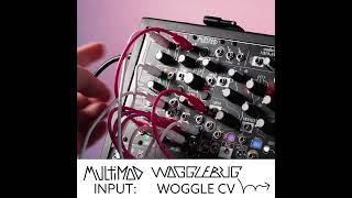 Video thumbnail for Mixing and matching voltage inputs for the MultiMod with Ch.Svr! ⚡ by MAKEN0ISE