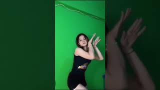 Download lagu #pemersatubangsa #trending #viral #pargoy #animals  #shorts #short #animals #hot #hotgirl mp3