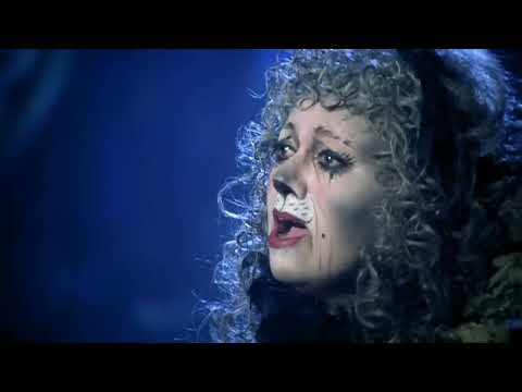 Elaine Paige performing Memory