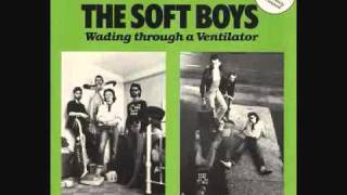 Soft Boys - Wading Through a Ventilator