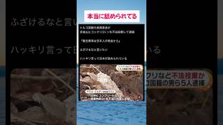 #高市総理 #小泉大臣 #小野田紀美 #片山さつき #国民民主党 #玉木代表