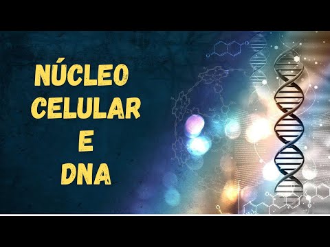 Núcleo celular e DNA - Fisiologia Humana
