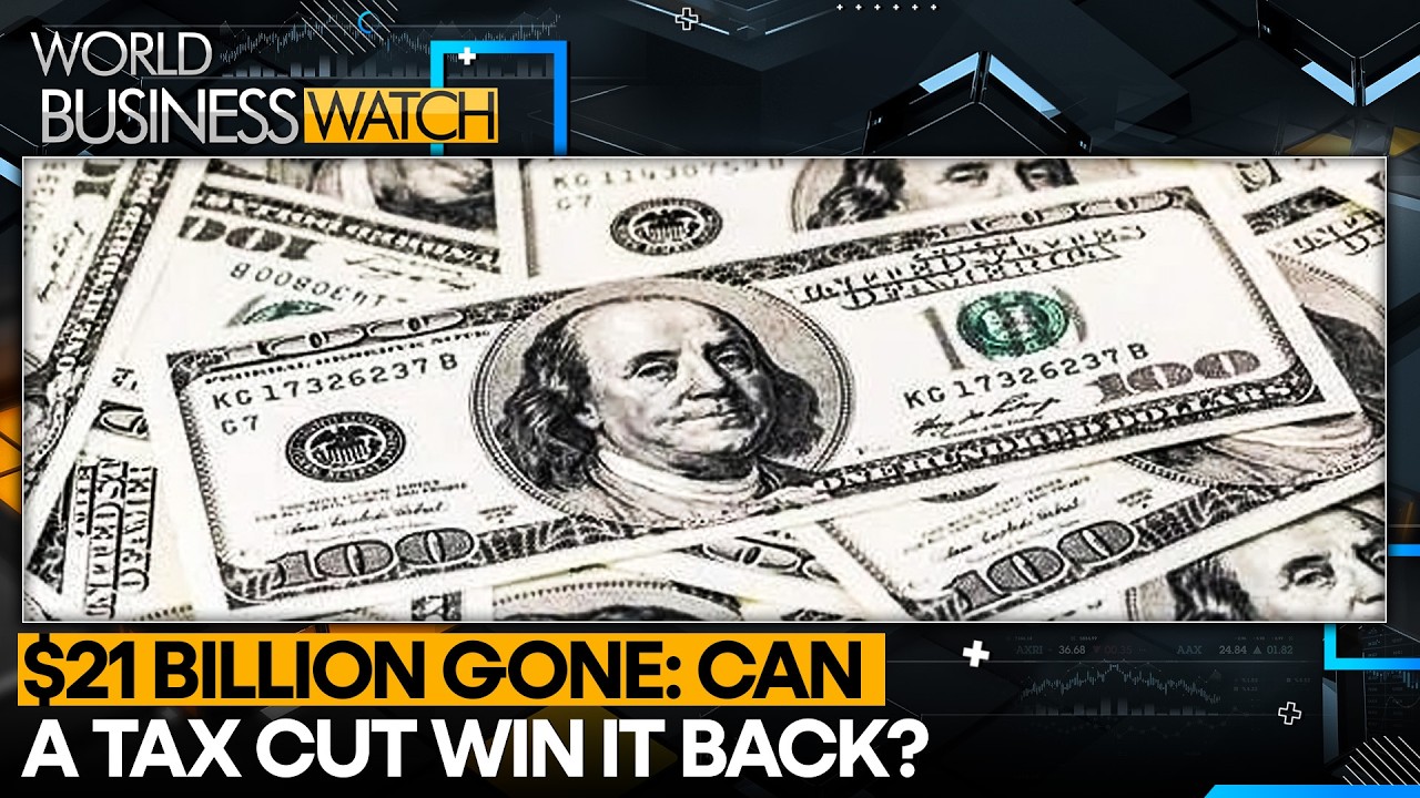 India Considers Tax Cuts After $21 Billion Market Outflow | WION World Business Watch