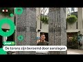 Daan (18) bouwt in 3 jaar Twin Towers na