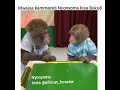 Maisha Ya Shule Chuo Ya Nyonyoma