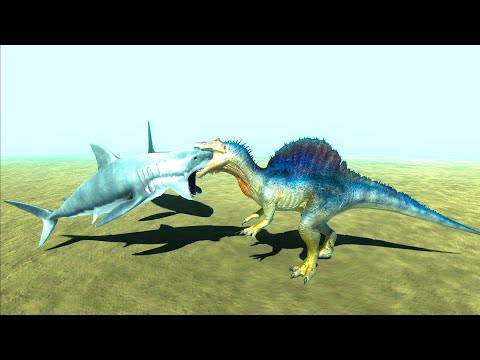 NEW UPDATE White SHARK & ORCA vs EVERY FACTION - Animal Revolt Battle Simulator ARBS