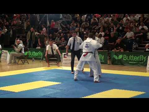 British Karate Kyokushinkai Vytautas Cepla v Sami Mehio