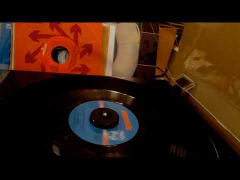 The 4 Seasons / Watch The Flowers Grow