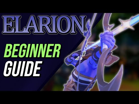 DPS GUIDE Elarion | Fellowship #mmorpg #dungeoncrawl