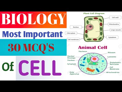 Biology Dynamics Of Life Answers: Detailed Login ...
