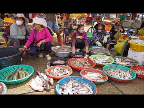 Cambodian Fish Market Scene In The Morning - Daily Lifestyle Of Vendors Selling Fish In Fish Market