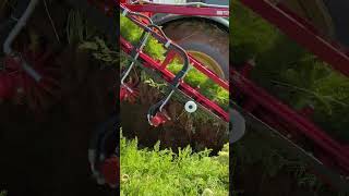 Новый морковоуборочный комбайн Tokay Makine | Изображение 2 - Agroline