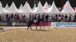 Une nouvelle recrue pour Helen Langehanenberg