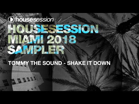 Tommy the Sound - Shake It Down (Original Mix)