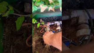 Winterizing sprinkler valves