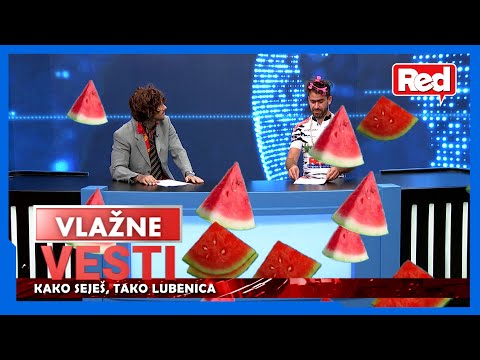 Vlažne Vesti - Epizoda 26 - BEST OFF - 08.07.2022 - Red TV