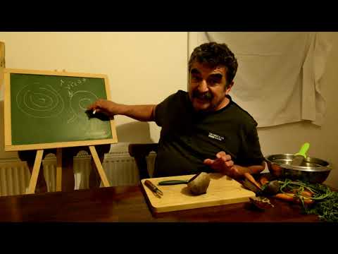 Botanikus a konyhában - 3. A cékla