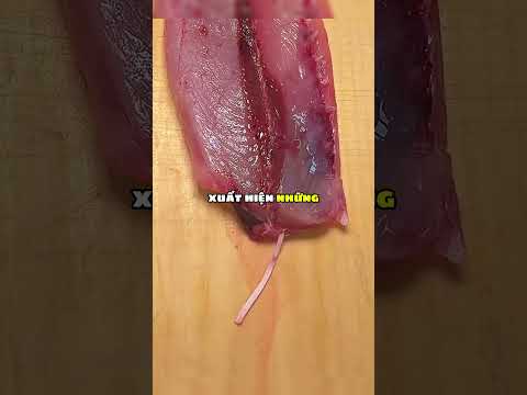 Những con giun trong thịt cá 🪱😱