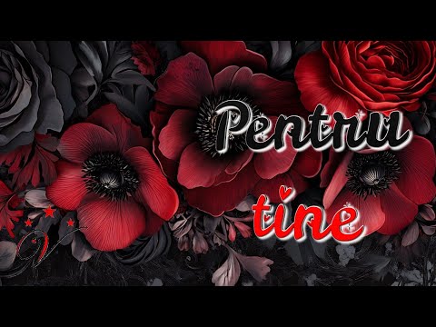 Cum știu că te iubesc – Poezie de dragoste sinceră | Declarație emoționantă