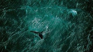 Blue in Green - Bill Evans Trio.wmv