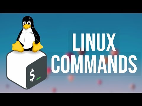 Beginner's Tutorial to the Bash Terminal | Linux Terminal Tutorial | Linux Commands