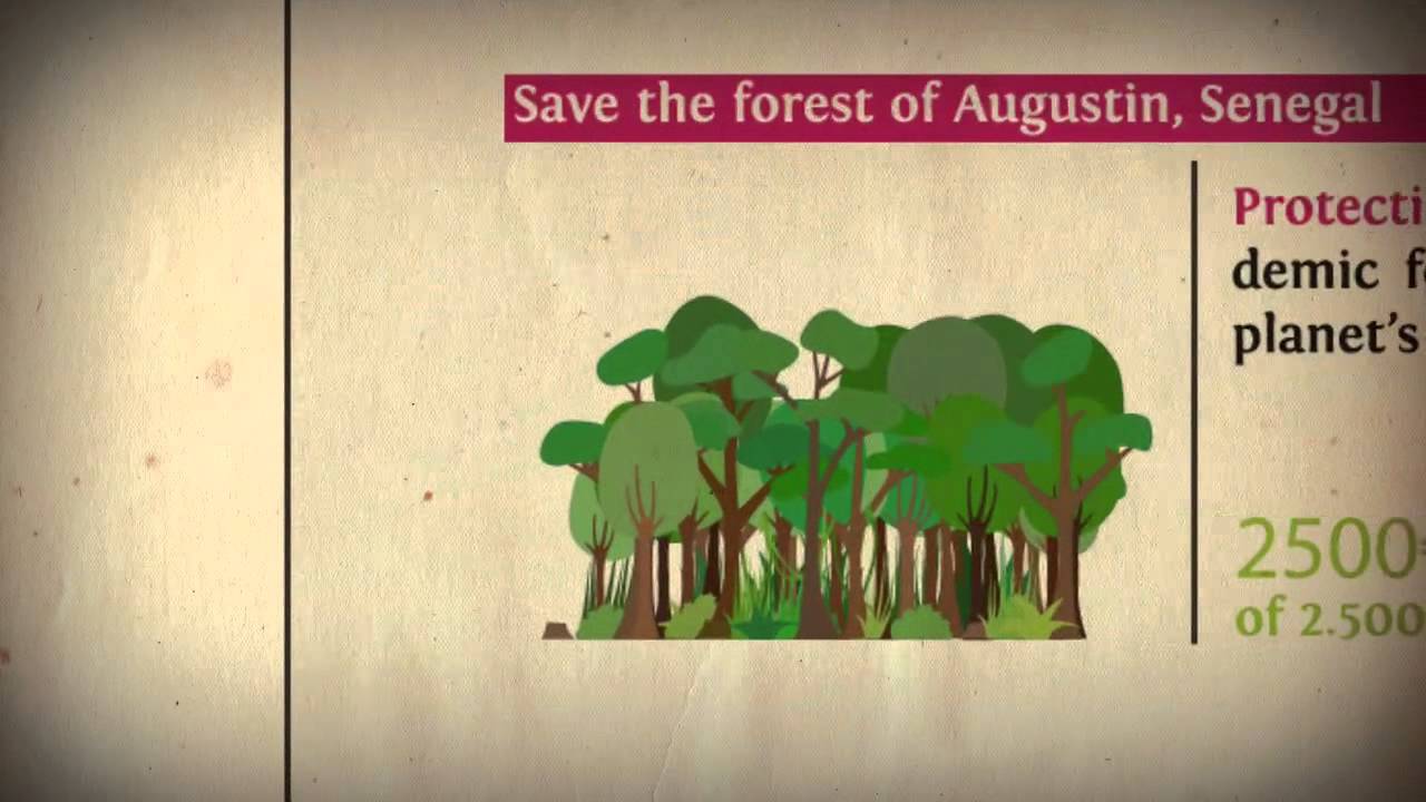 Ecofund - The Story Behind