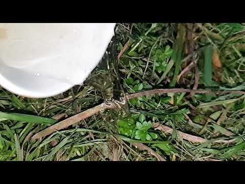 SAMSUNG GALAXY S10 PLUS SUPER SLOW MO 2021 | SAMSUNG GALAXY S10 PLUS  SLOW motion 2021