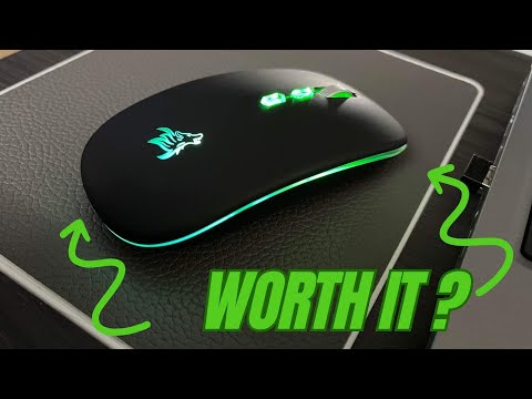 HOTLIFE LED Wireless Mouse