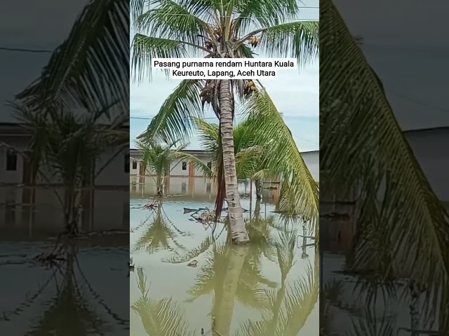 Pasang Purnama Rendam Huntara Kuala Keureuto, Lapang, Aceh Utara