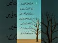 Be Positive Stay Motivated And Connected Motivationalquotes Wordsofwisdom Lifelessons