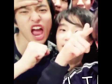 pre debut dino, dk, hoshi, joshua, seungkwan