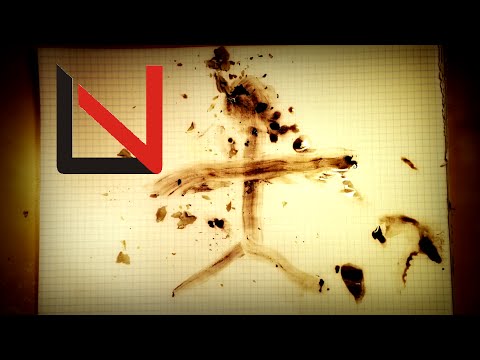 Losza Vera - Mam na imię człowiek