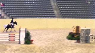 Pony Jumper Finals 2014
