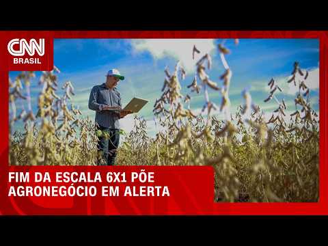 Fim da escala 6×1: agro alerta para custos e possível alta dos alimentos | HORA H