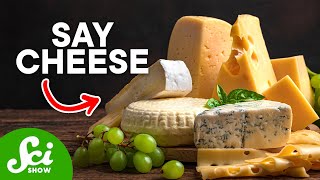 8 Cheesy Science Facts