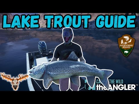 How To Catch Those Giant Lake Trout -the Angler