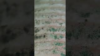 Dirty hands under the microscope😲