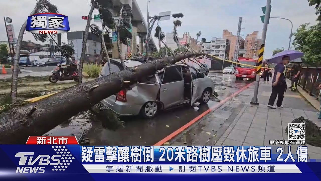 疑雷擊釀樹倒!20米路樹壓毀休旅車 2人傷