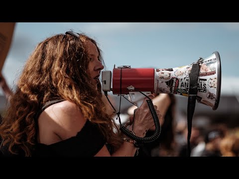 #005 My girlfriend: "Instruction Manual" (THEY DON'T LIKE WHAT THEY SAY THEY LIKE)